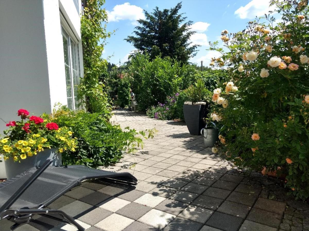 Haus Paradies Superior Fewo'S Loft, Terrasse, Private Sauna, Aktiv Card, سانكت انجلمار المظهر الخارجي الصورة